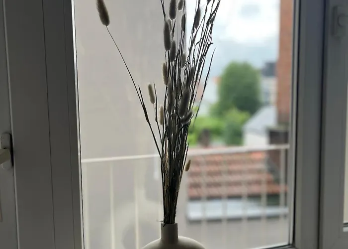 Apartamento Cosy Louvrex -liege Francorchamps *